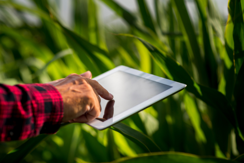 Irrigação, tecnologia e sustentabilidade